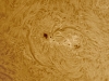 10. Februar 2013: H-alpha AR1670