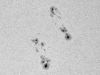 AR 12080 & 12085 Weißlicht