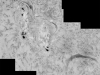 AR12080 & Ar 12085 in HA