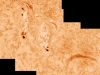 AR12080 & Ar 12085 in HA