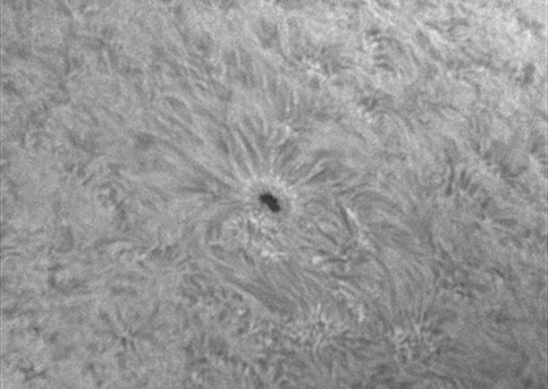 16. Oktober 2012: AR 1586 in h-alpha