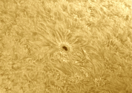 16. Oktober 2012: AR 1586 in h-alpha