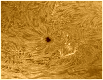 31. Oktober 2012: Sonnenfleck AR1599 h-alpha