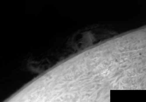4. November 2012: H-Alpha mit Protuberanz