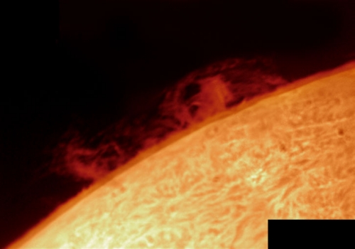 4. November 2012: H-Alpha mit Protuberanz