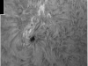 8. Oktober 2012: AR 1585 in h-alpha