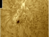 8. Oktober 2012: AR 1585 in h-alpha