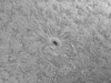16. Oktober 2012: AR 1586 in h-alpha