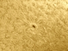 16. Oktober 2012: AR 1586 in h-alpha