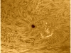 31. Oktober 2012: Sonnenfleck AR1599 h-alpha