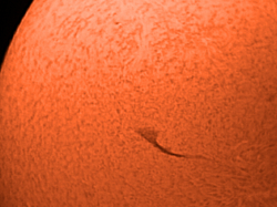 12-01-26-sonne-filament-pst-tisdmk21-2xb-color3