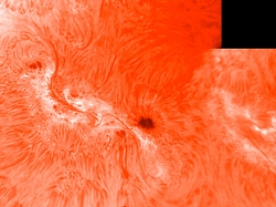 10. März 2012 H-Alpha AR 1429 / 1430