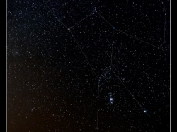 Orion im Nebel
