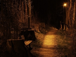 Wege in der Nacht