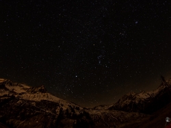 Orion, die Hunde und ein Zwilling