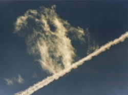 Wolkeneule