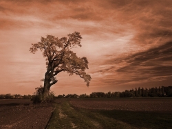 13-10-26-emmering-IMG_6276.jpg